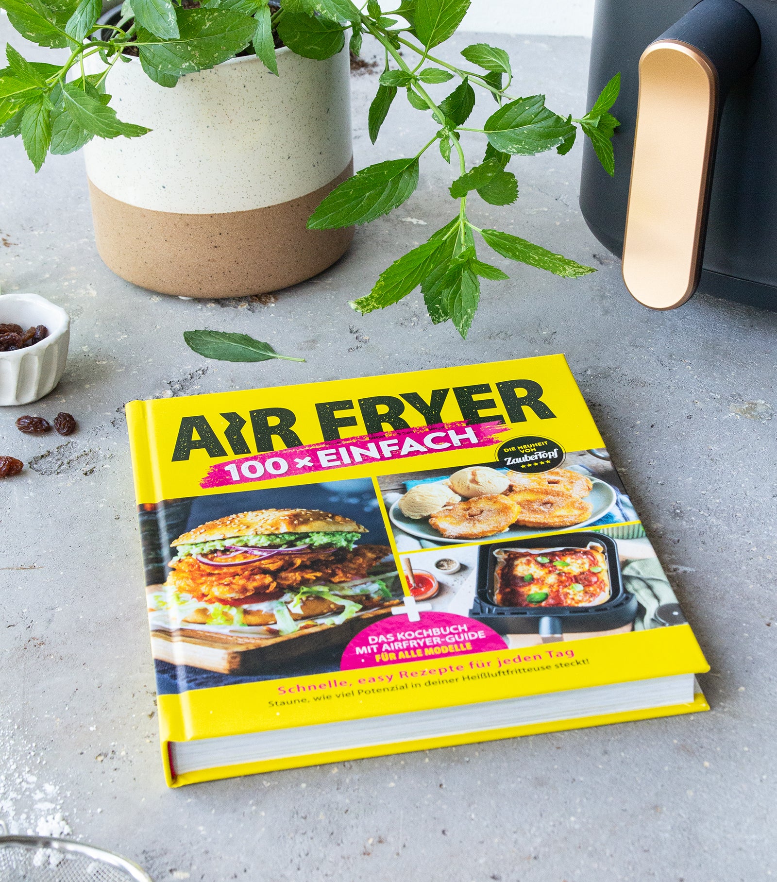 AIR FRYER 100 x einfach