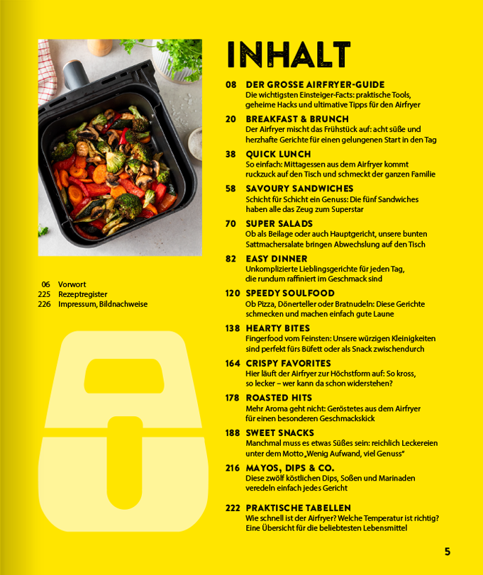 AIR FRYER 100 x einfach