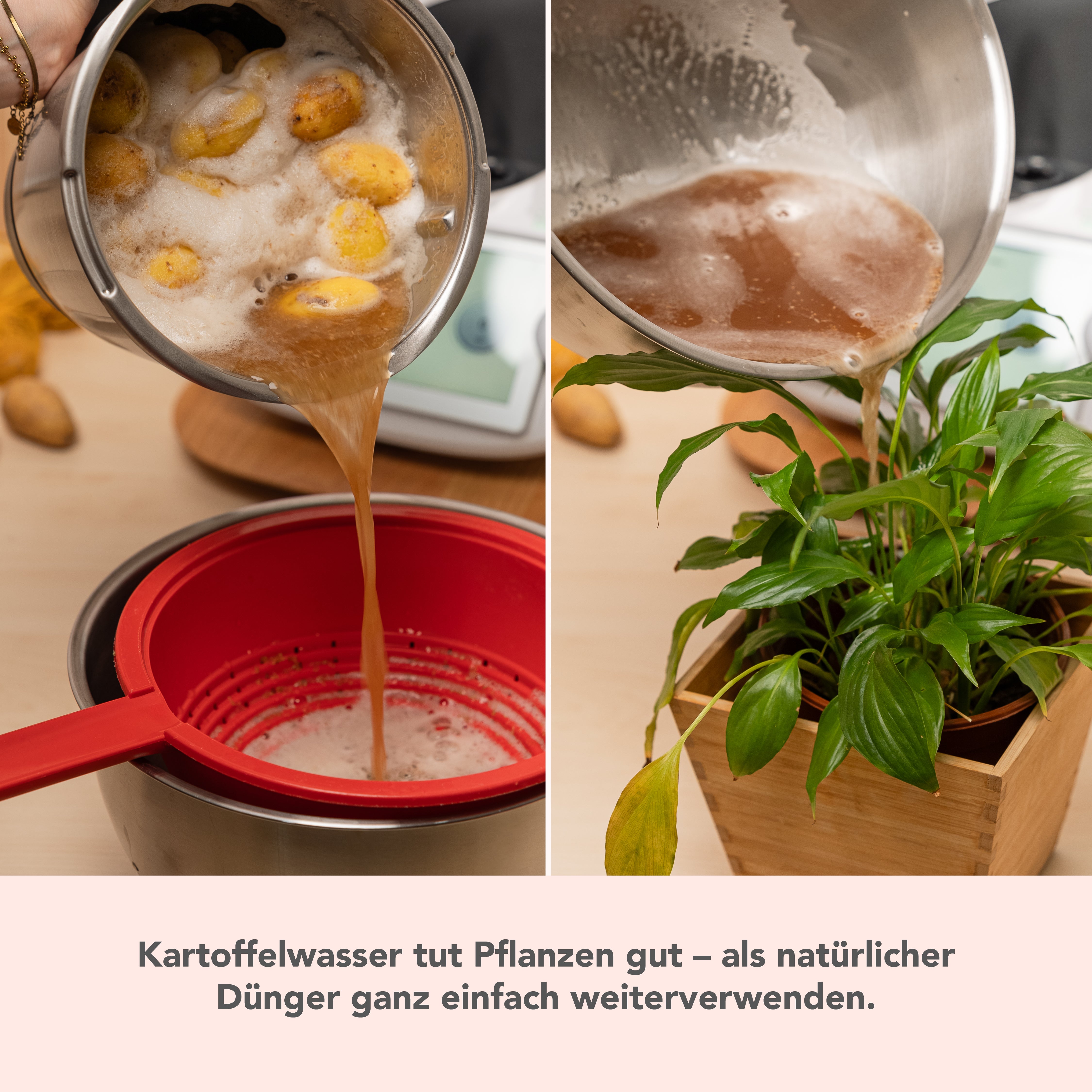WunderPeeler® | V2 | Kartoffelschäler-Aufsatz für Thermomix TM7, TM6, TM5, TM31