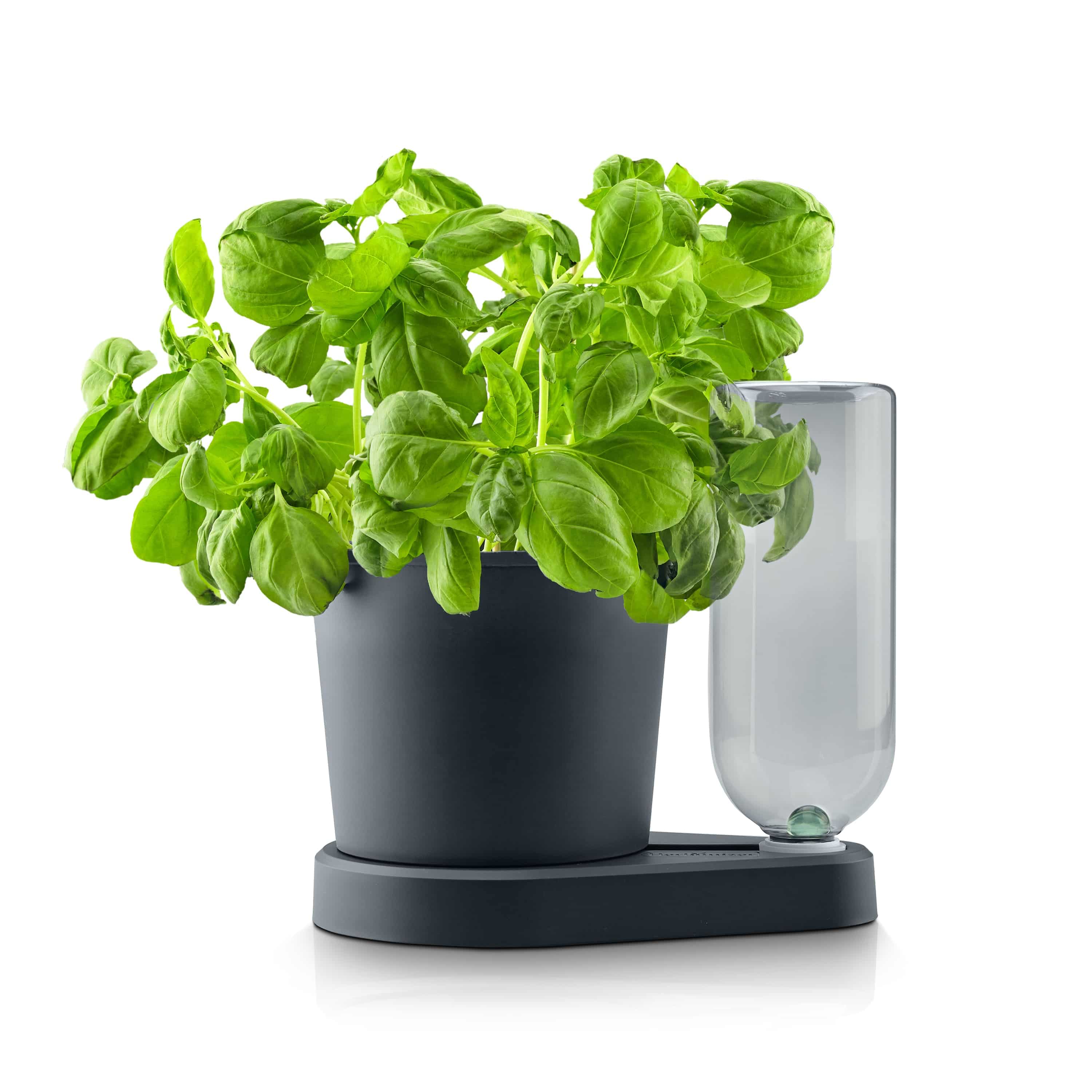 kräuter aufbewahren behälter Herbimizer®